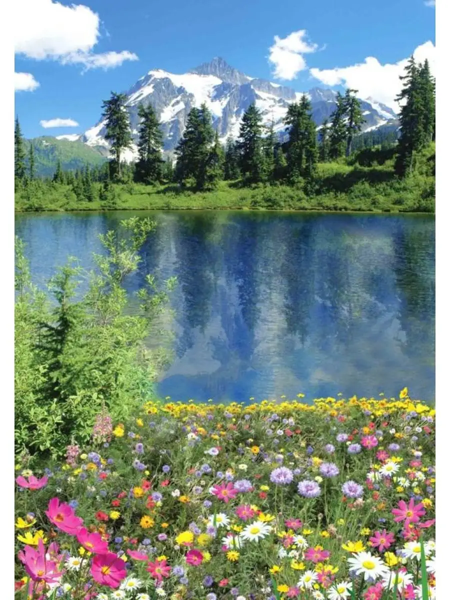 900x1200  Твоя Планета Алтайское лето ПР 136*194 см фотообои 4л,цветы,горы,озеро