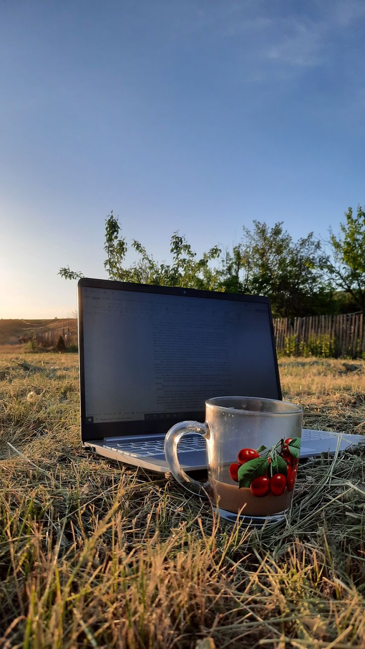 736x1308  Обои на телефон/ Весна/ Лето Wallpaper for phone/ Spring/ Summer | Обои,  Картинки, Лето