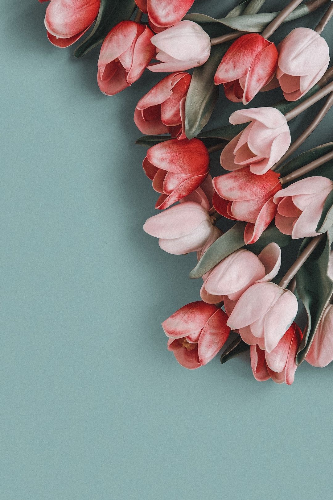 1080x1620  Обои для iPhone весна | Flower iphone wallpaper, Rose gold wallpaper  iphone, Wallpaper nature flowers