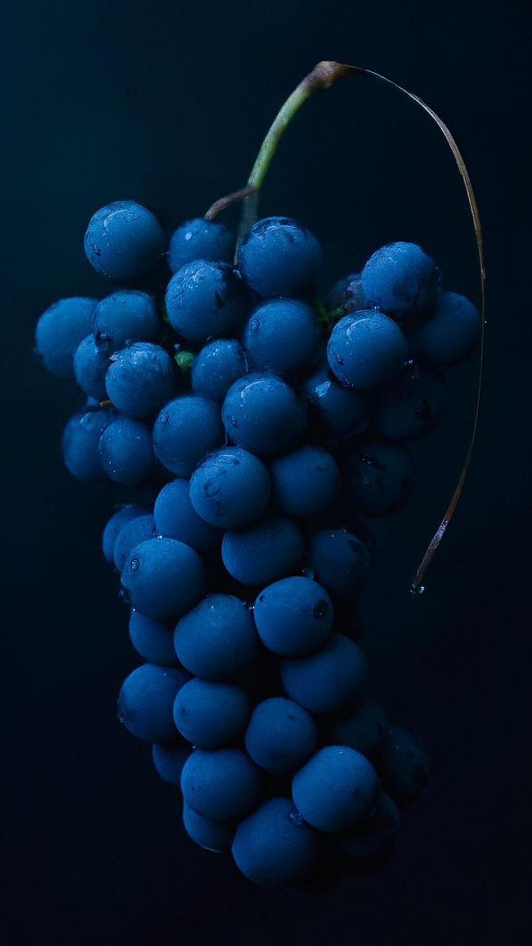 1080x1920  Виноград - Картинка на телефон / Обои на рабочий стол №1630455