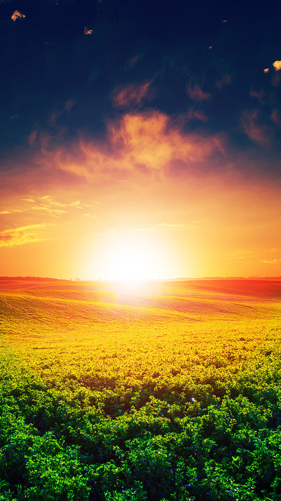 1080x1920  Картинки Солнце Природа Поля Небо Пейзаж Рассветы и закаты 1080x1920