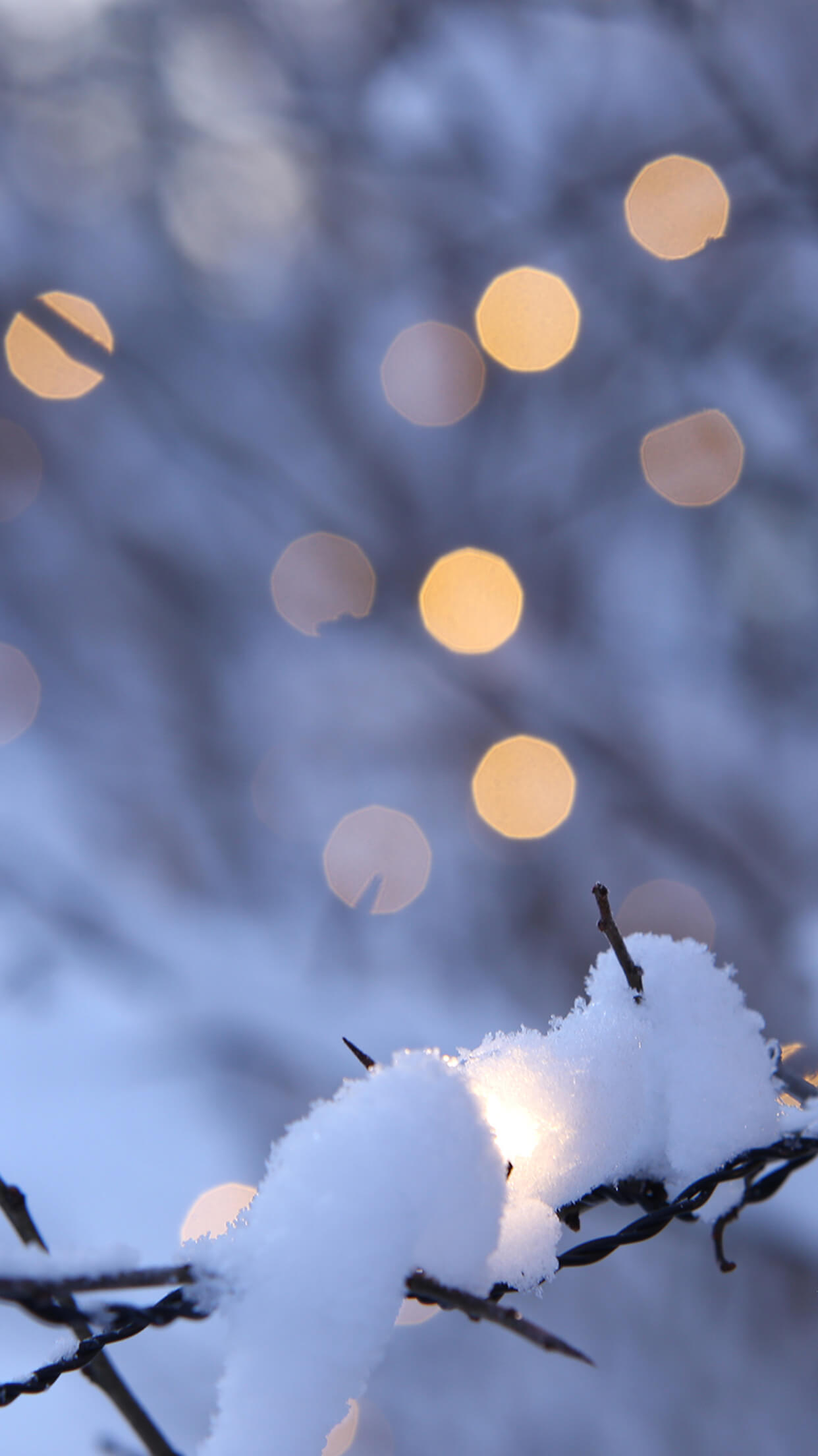 1242x2208  Времена года обои на телефон