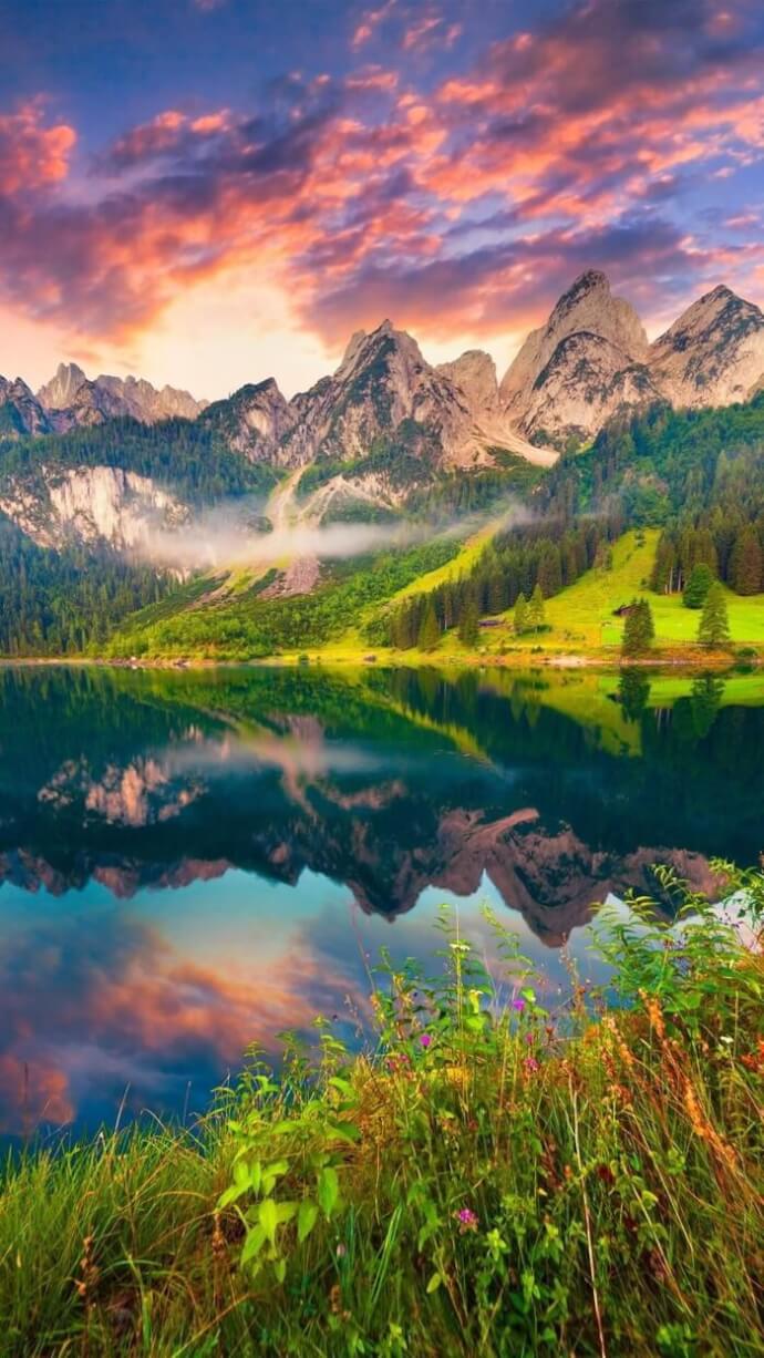 690x1226  Времена года обои на телефон