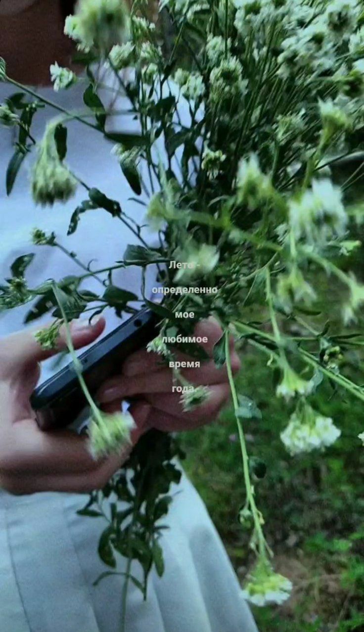 736x1278  Лето- определенно мое любимое время года в 2023 г | Лето, Вдохновение