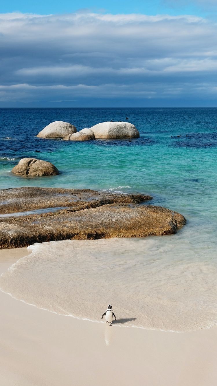 750x1333  Пин на доске Wallpapers