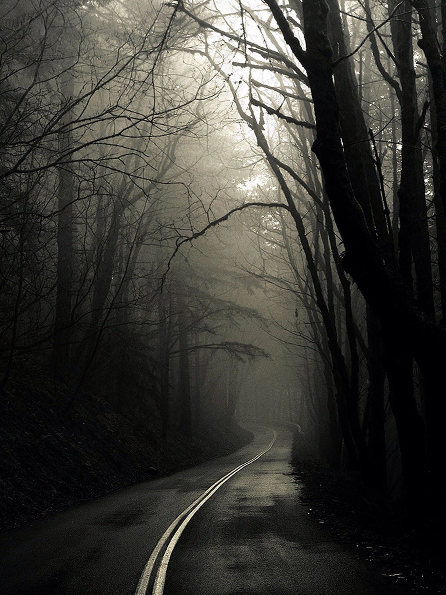 1536x2048  Living in darkness. | Forest road, Gothic wallpaper, Dark forest