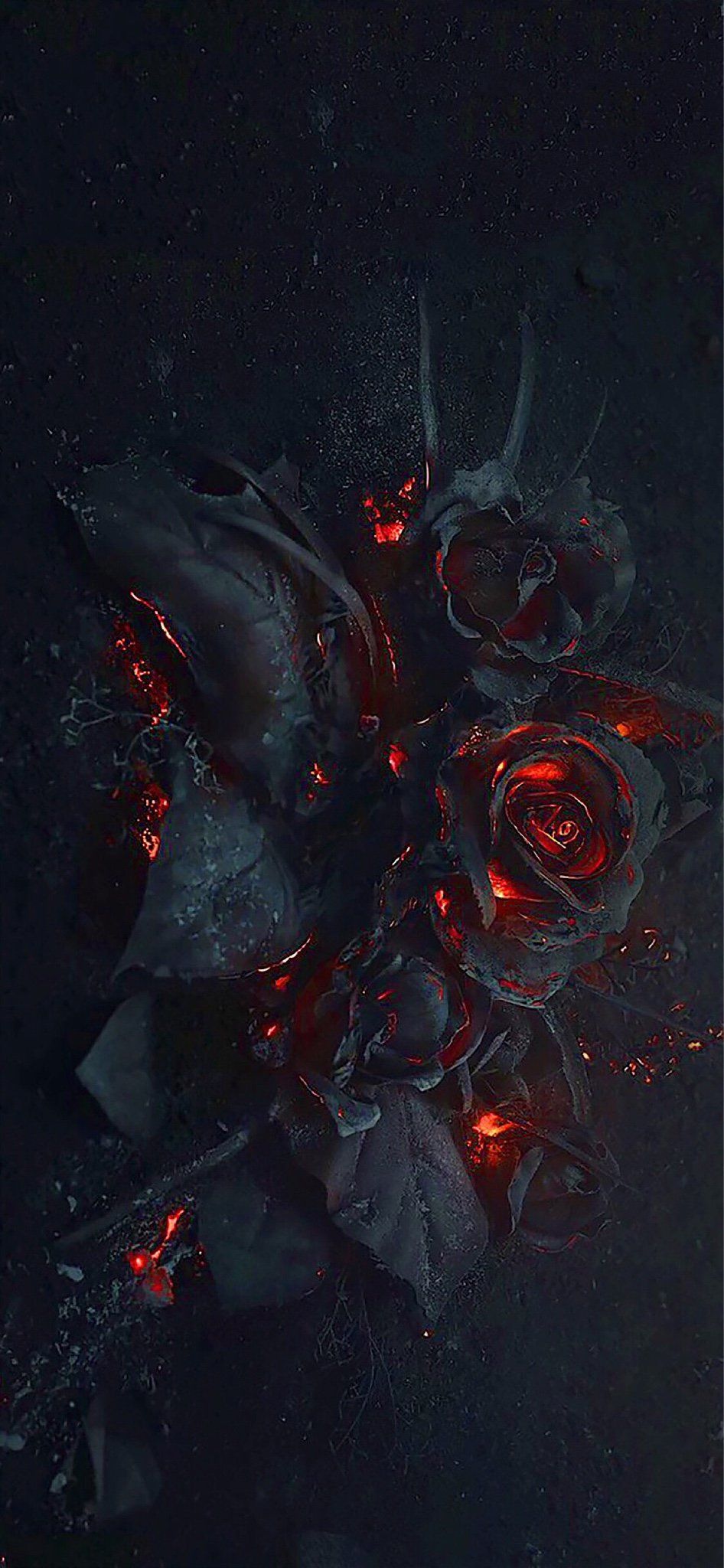 946x2048  The iPhone X/Xs Wallpaper Thread | Black roses wallpaper, Gothic wallpaper,  Rose wallpaper