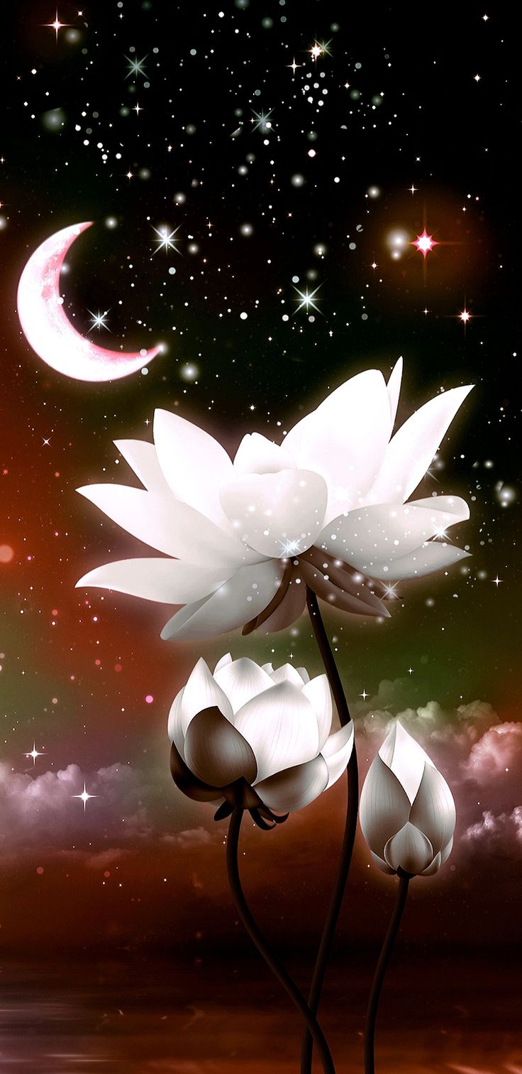 736x1512  Крест обои на телефон - 67 фото