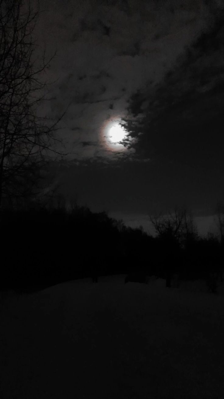 736x1308  Pin on afbeeldingen