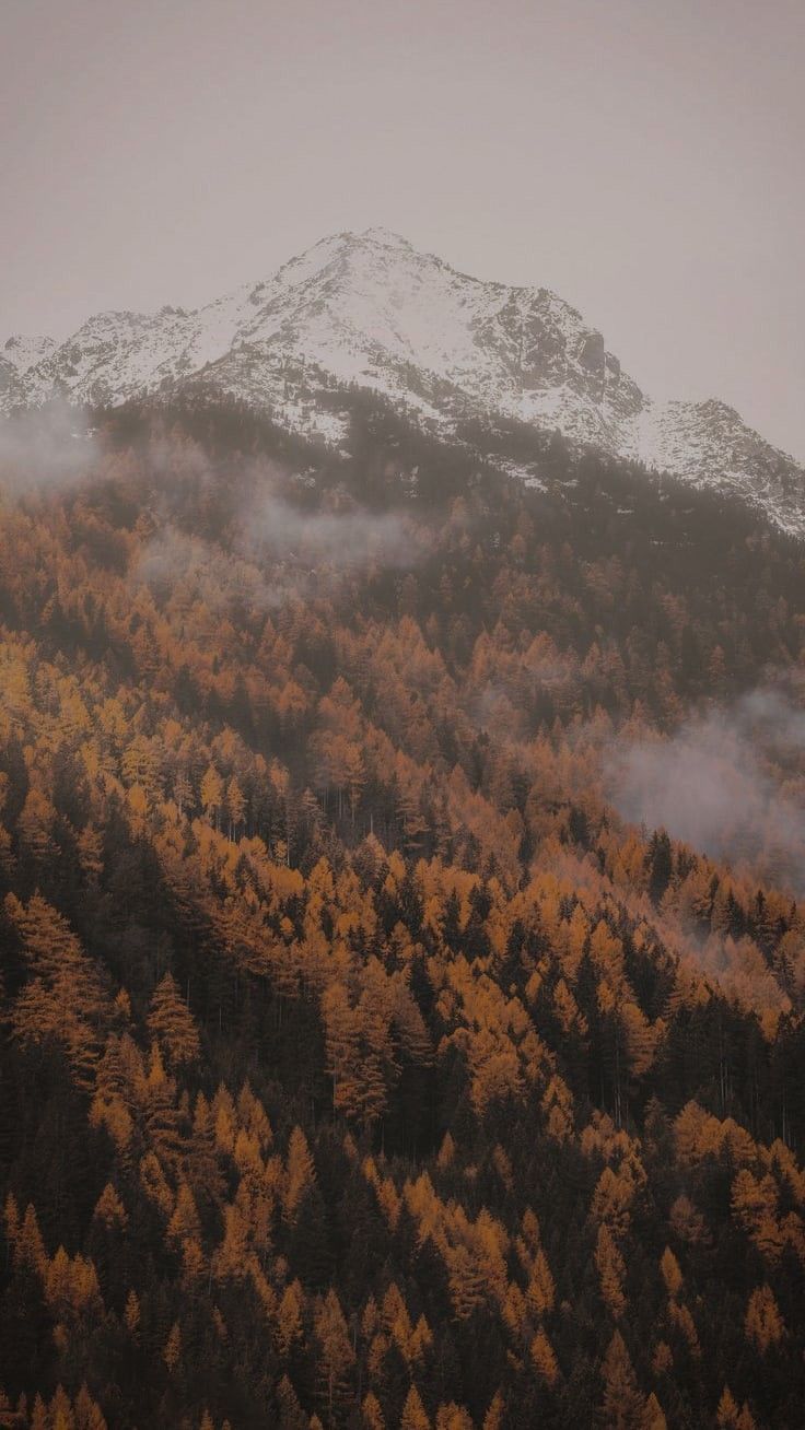 736x1308  Осень. Горы. Обои на телефон. | Пейзажи, Живописные пейзажи, Рисунки  пейзажей