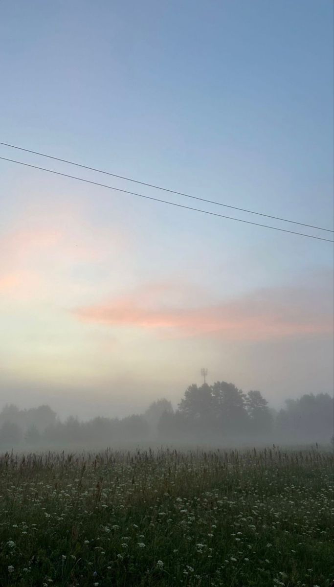 683x1200  Пин от пользователя alina на доске созданное в 2023 г