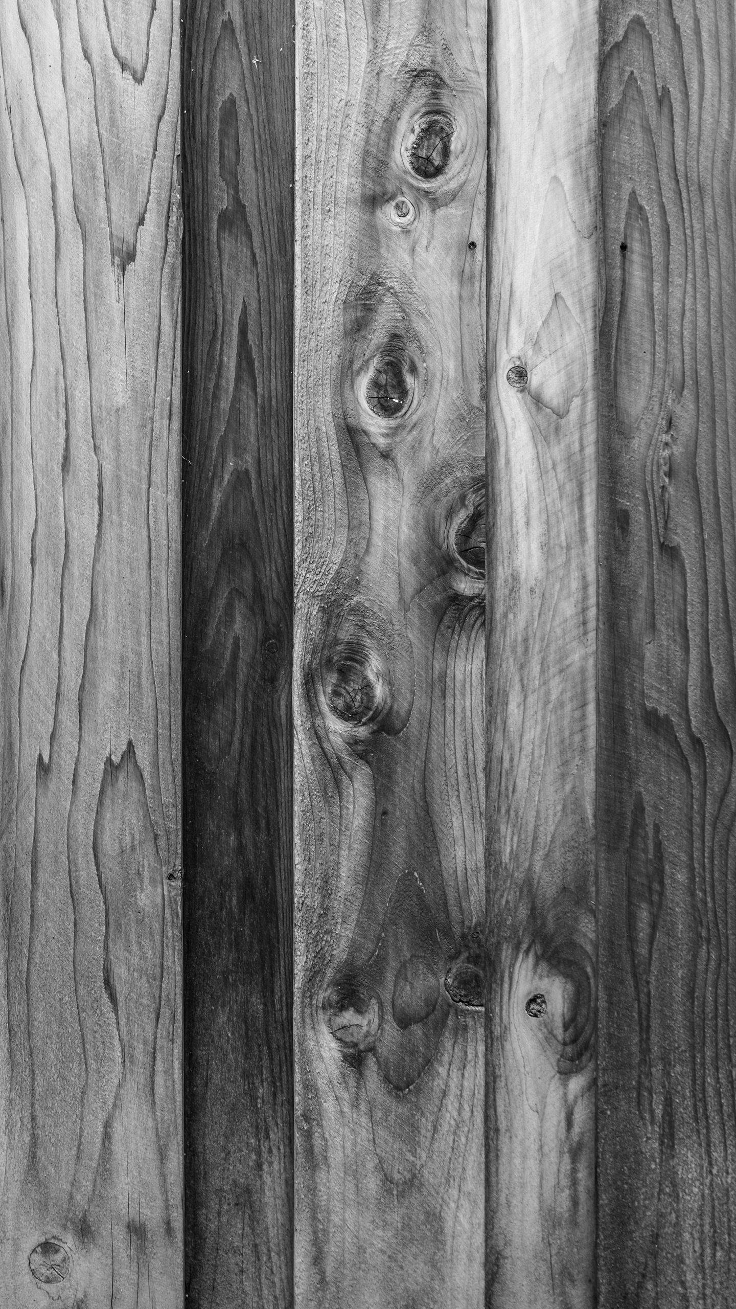 1440x2560  Обои на телефон дерево, деревянный, текстура, чб - скачать бесплатно в  высоком качестве из категории \"Текстуры\"