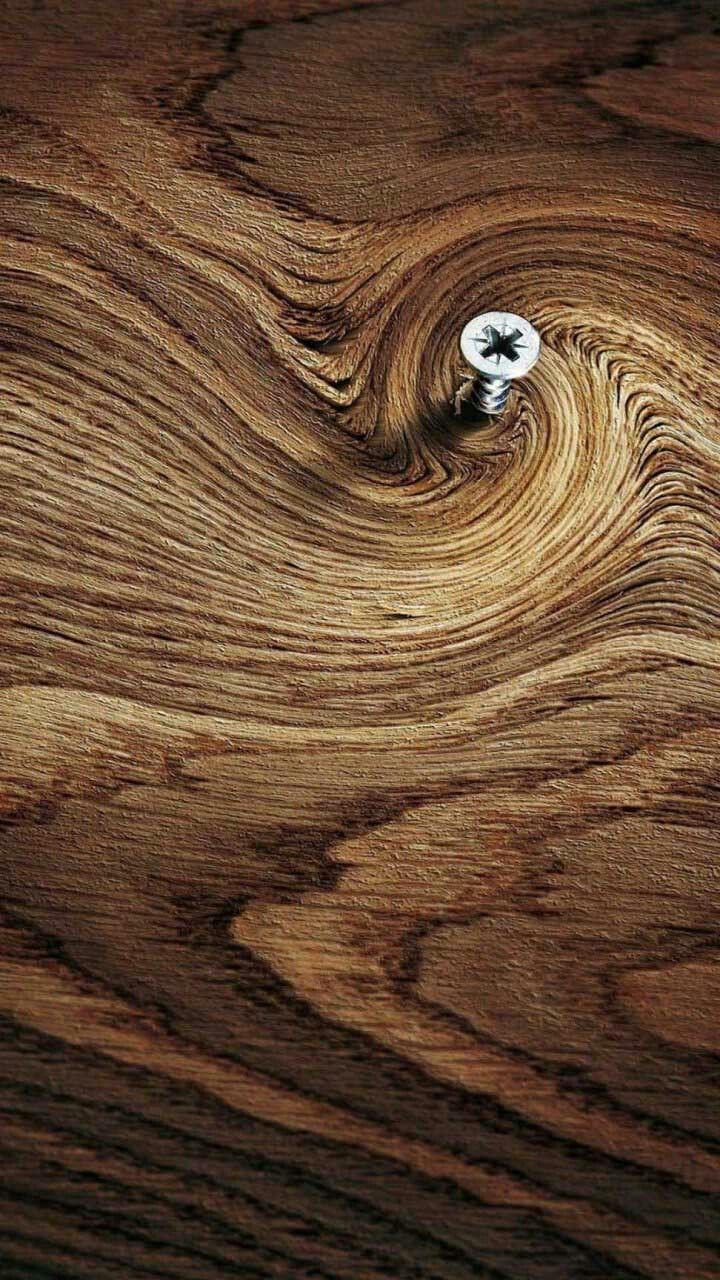 720x1280  Пин от пользователя Rémi Delmas на доске Lieux à visiter в 2023 г |  Живопись, Дерево, Дуб