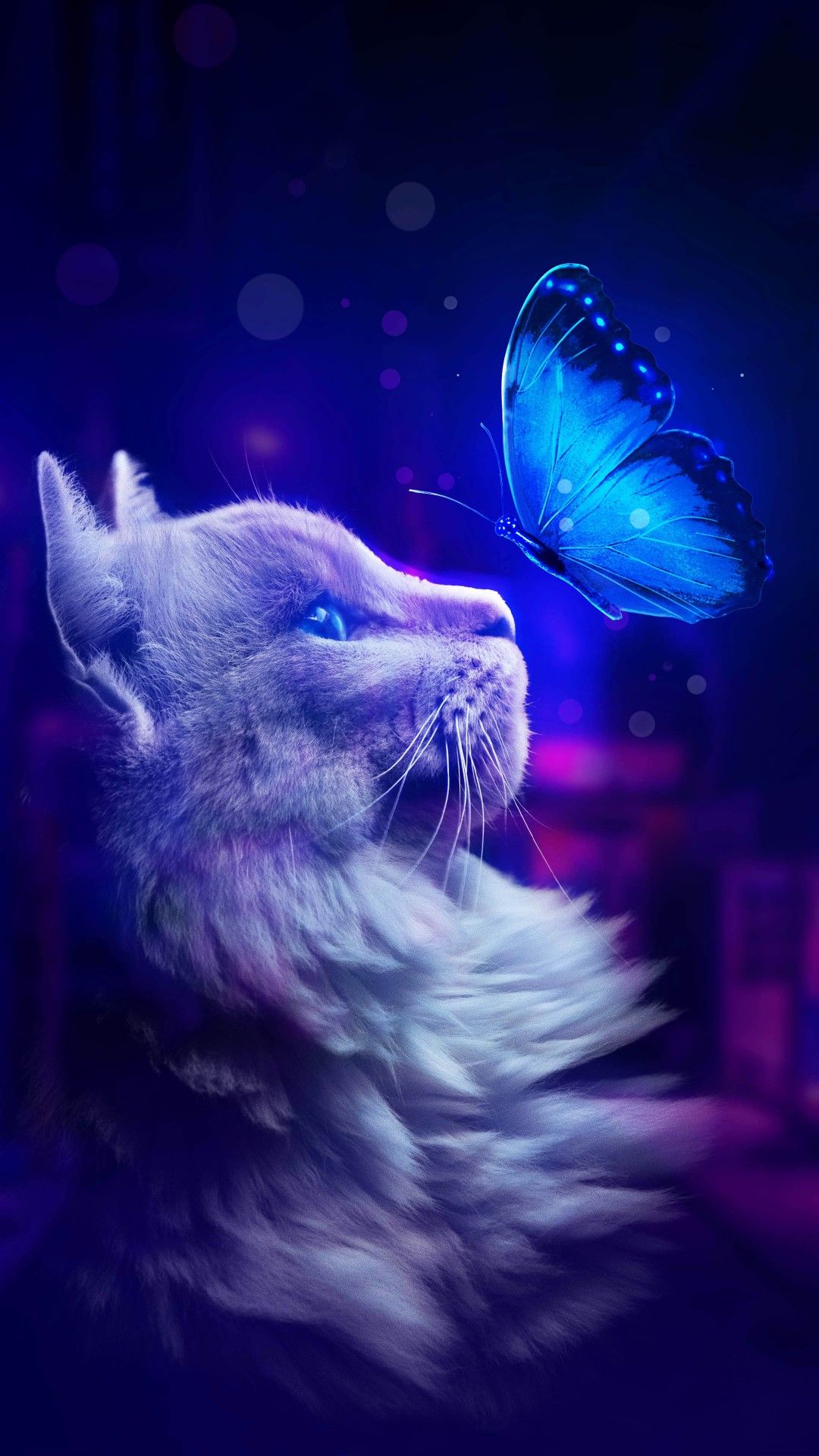 1080x1920  Обои на телефон Животные, HD картинки | Zamanilka