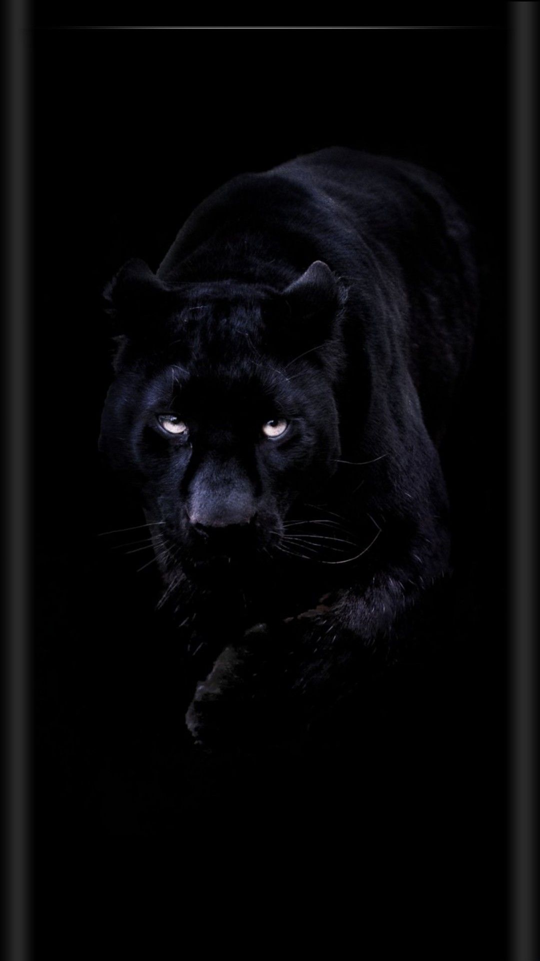 1080x1920  Pin by Irina Irina on Обои телефон (1080*1920) | Black panther cat, Black  jaguar animal, Jaguar animal