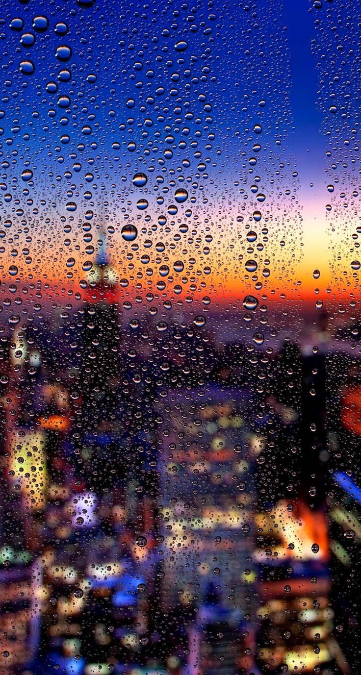 736x1377  Обои на телефон: Капли, Стекло, Размытость, Макро, Разное, 98199 скачать  картинку бесплатно.