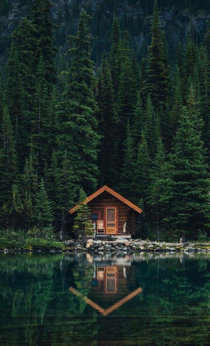 720x1187  Уединенный домик в лесу - 15 фото