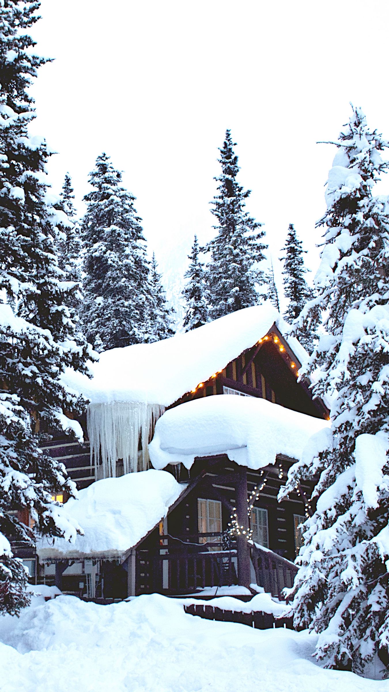 1350x2400  Обои на рабочий стол дом в лесу у озера: фото, изображения и картинки