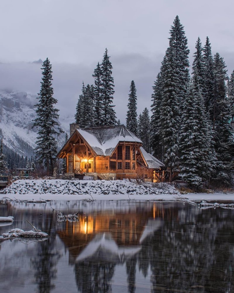 800x1000  Обои для телефона лес - фото и картинки abrakadabra.fun