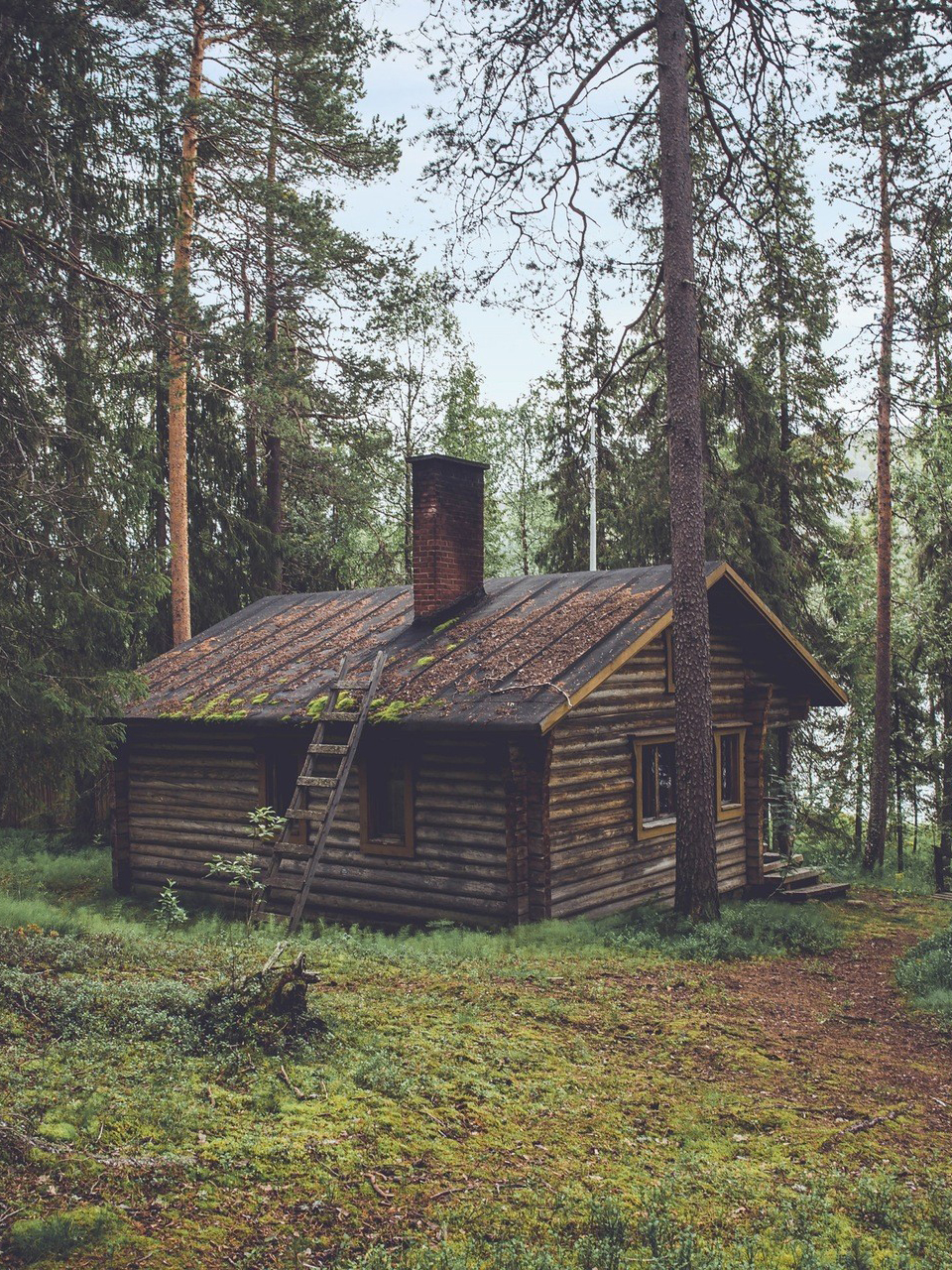 960x1280  Wallpaper Brown Wooden House in The Woods, Background - Download Free Image