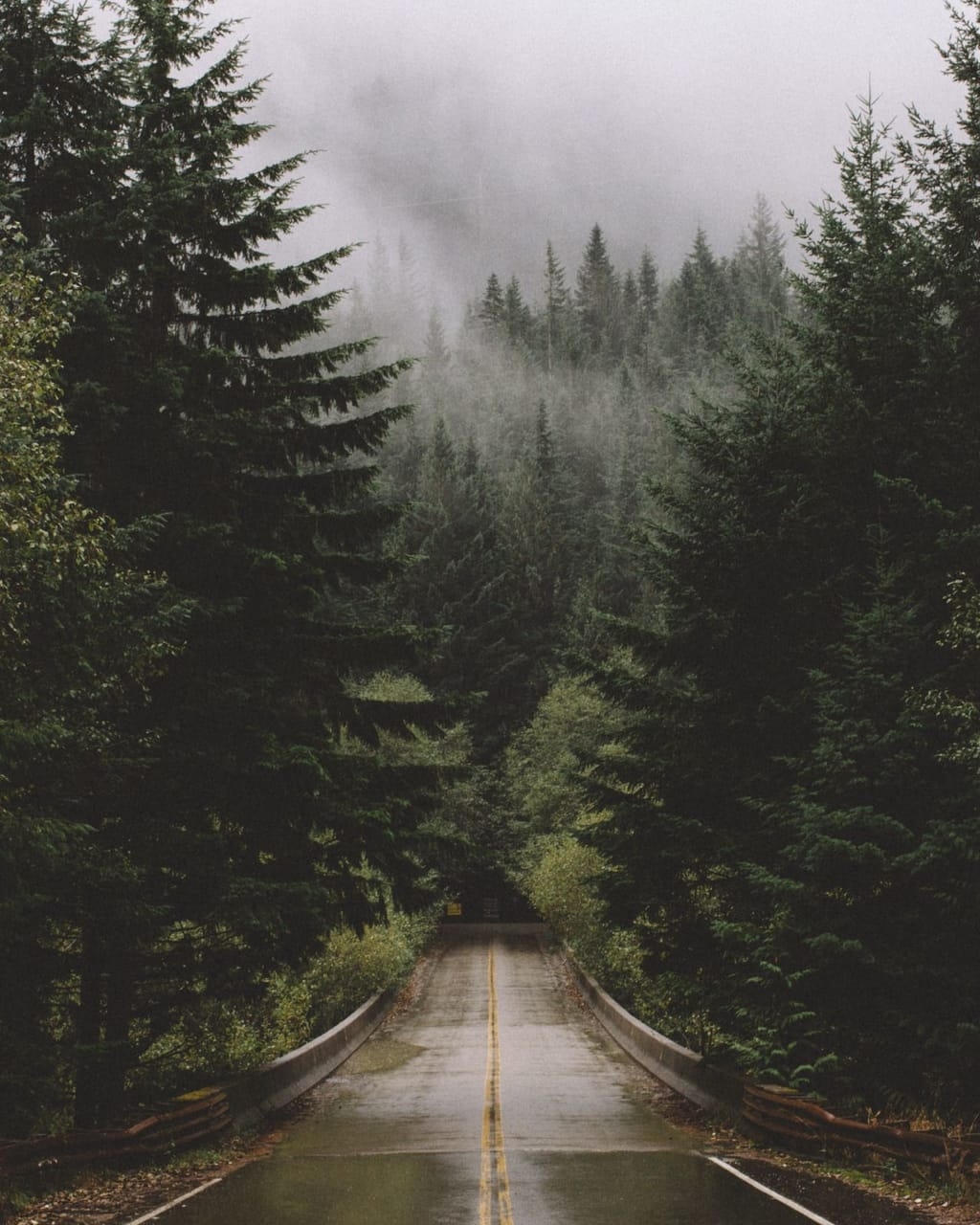 1024x1280  Обои на телефон дорога в лесу - 48 фото