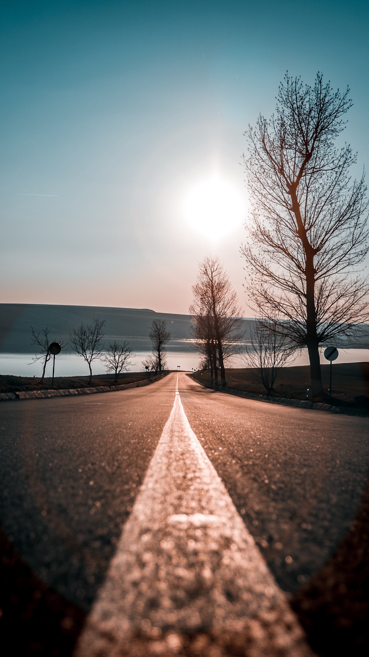 1440x2560  Обои на телефон дорога, деревья, закат, небо, направление - скачать  бесплатно в высоком качестве из категории \"Природа\"