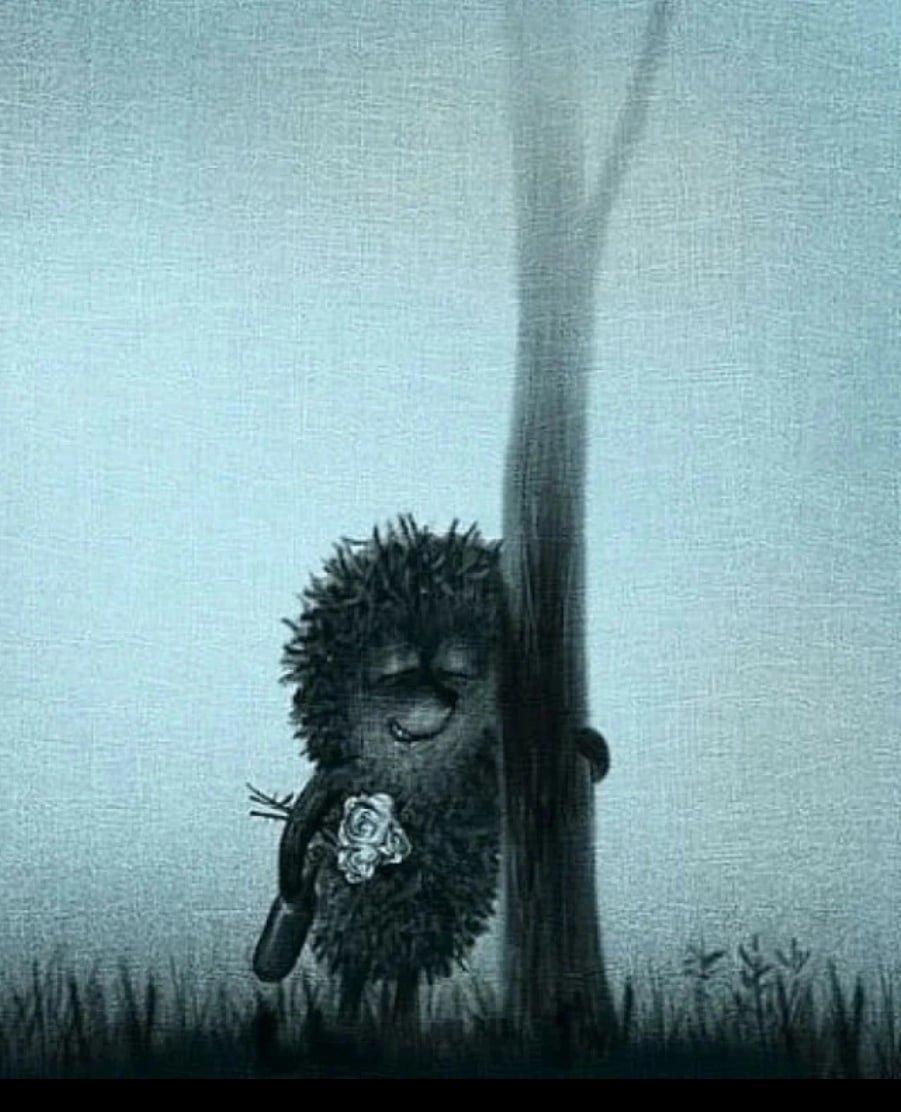 901x1112  Обои на телефон ежик в тумане - 73 фото