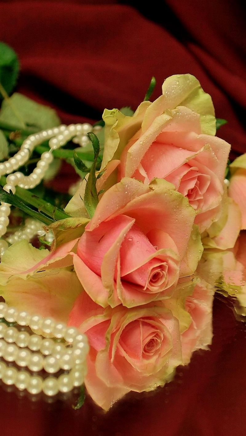 800x1420  Пуговицы Жемчуг Сердце 25 мм – купить за 100 руб | BOUTON.RU