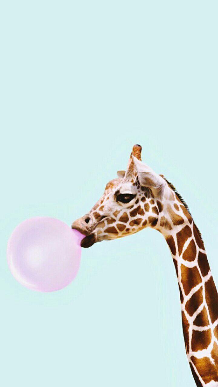 720x1280  жираф#эстетика#животные | Giraffe, Homescreen wallpaper, Iphone homescreen  wallpaper