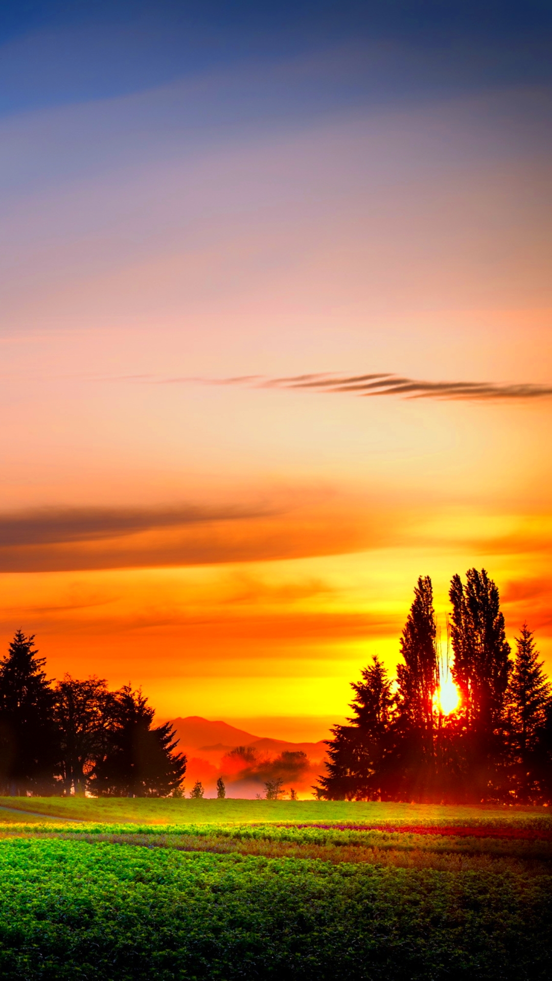 1080x1920  Обои на телефон закат и рассвет - 60 фото