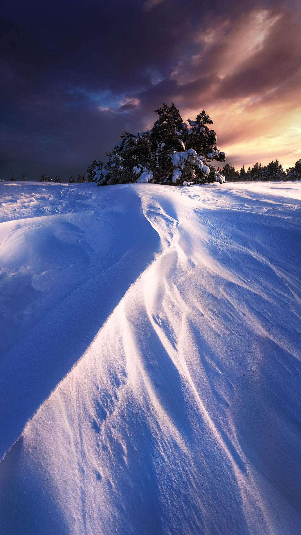 1037x1843  Картинки зима на заставку телефона (70 фото)