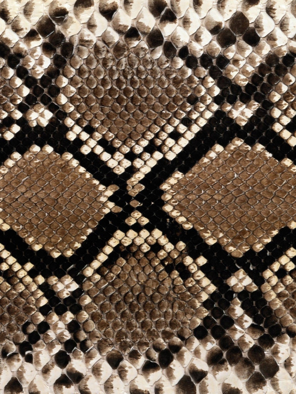 1200x1600  Змеиная кожа обои - 58 фото