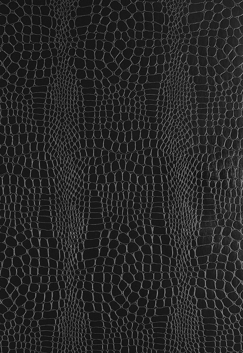 800x1163  Обои крокодиловая кожа - 58 фото
