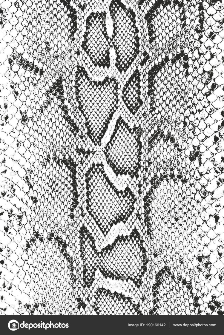 750x1123  Змеиная кожа обои - 48 фото