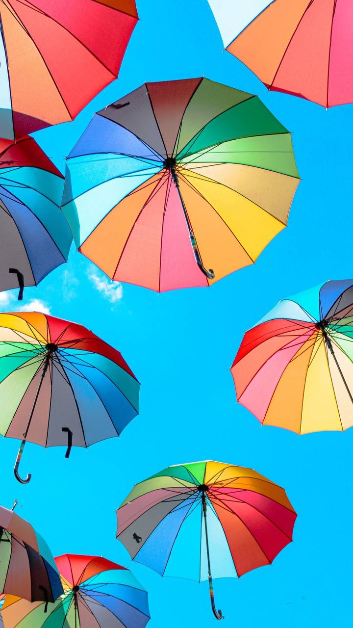 720x1280  Зонтик обои для телефона, HD заставки и картинки на экран блокировки  720x1280 | Akspic