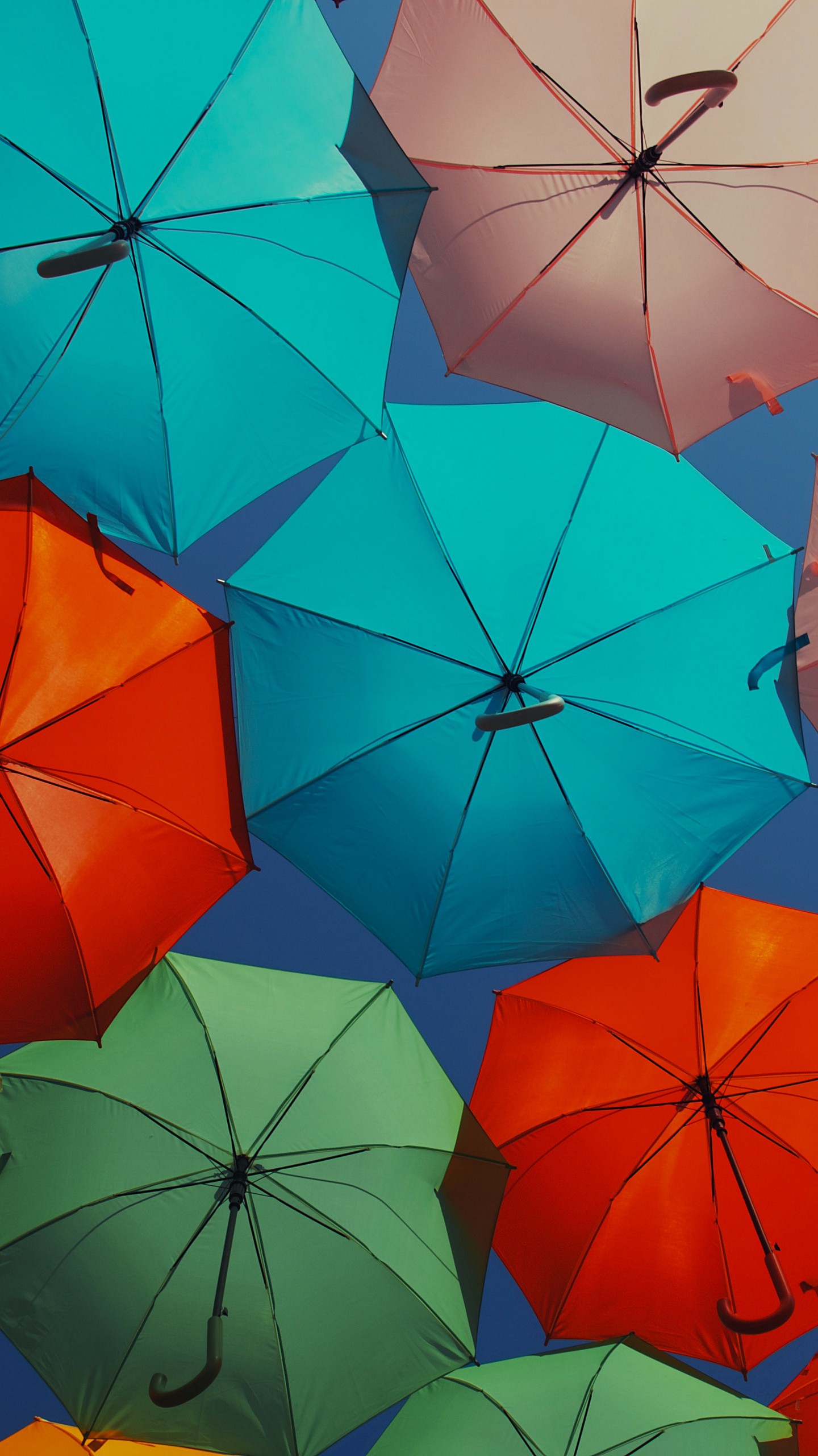 1440x2560  Обои на телефон зонтики, разноцветный, декорация, улица - скачать бесплатно  в высоком качестве из категории \"Разное\"