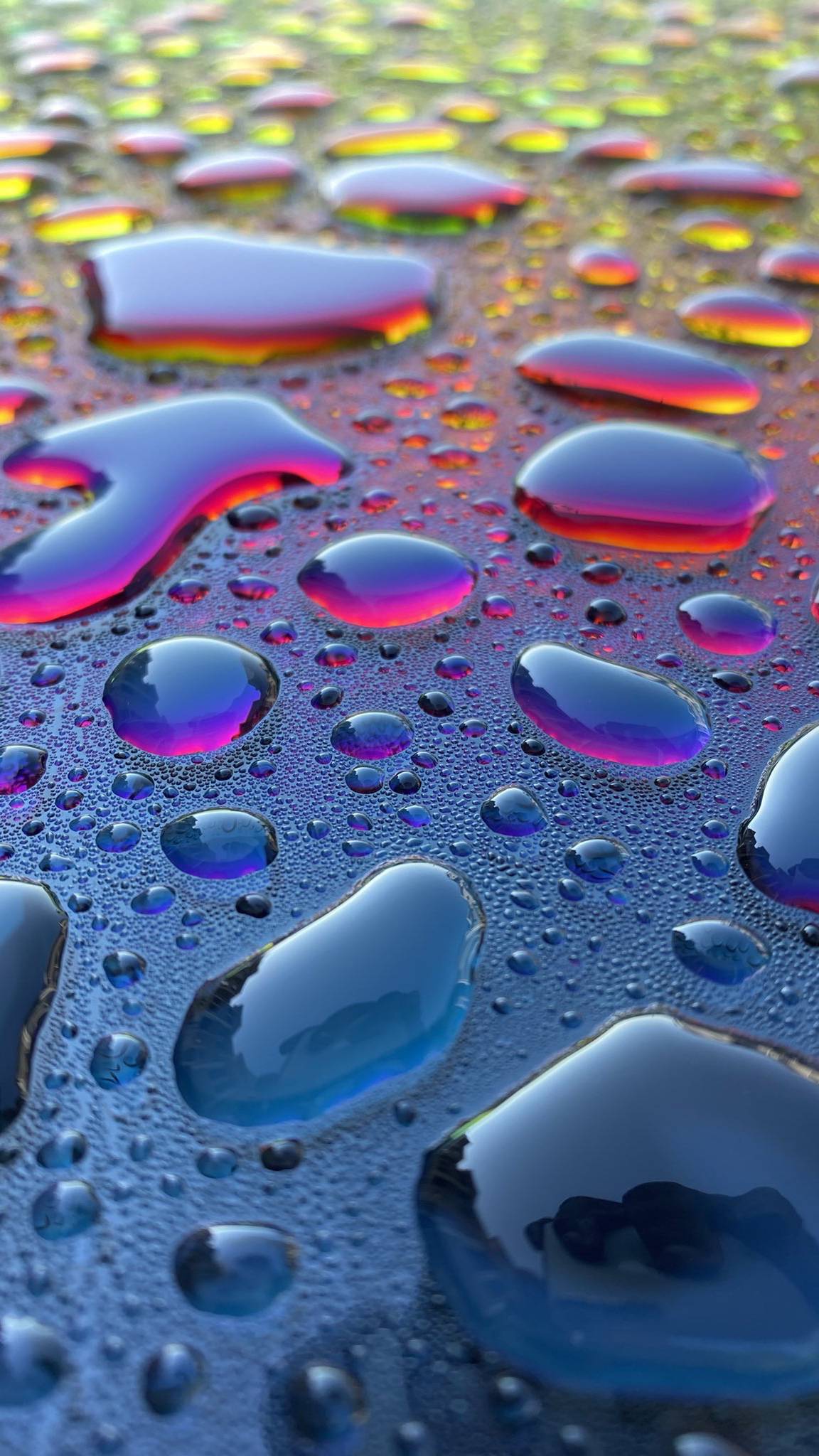 1152x2048  Капли дождя | DeskArt