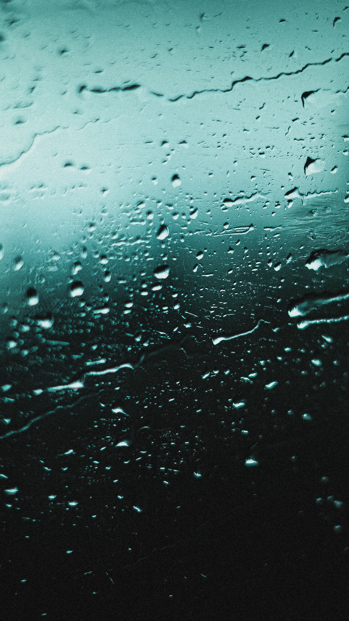 1440x2560  Обои на телефон капли, стекло, дождь, мокрый, поверхность - скачать  бесплатно в высоком качестве из категории \"Макро\"