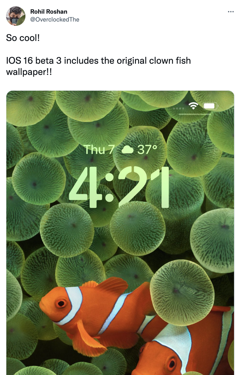 796x1236  Apple возвращает культовые обои из 2007 года, которые Стив Джобс показывал  на первой презентации айфона | Гол.ру