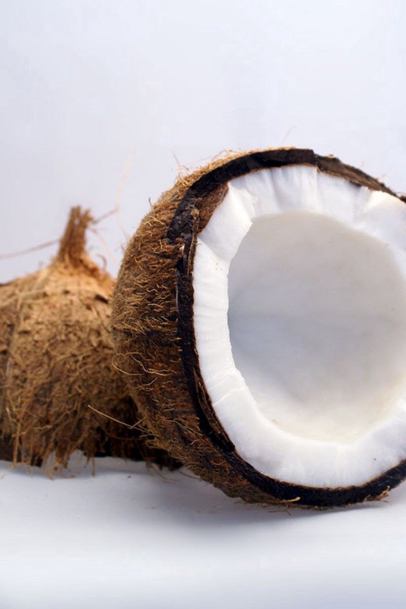 800x1200  Кокос | 🌸Обои, картинки на телефон💮 | Дзен