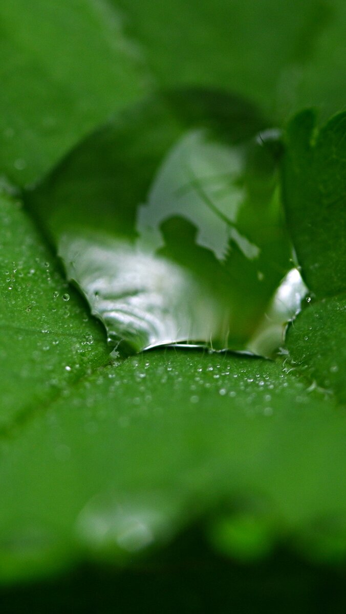 676x1200  Красивые обои на ваш телефон и компьютер | Природа России Архангельская  область | Дзен