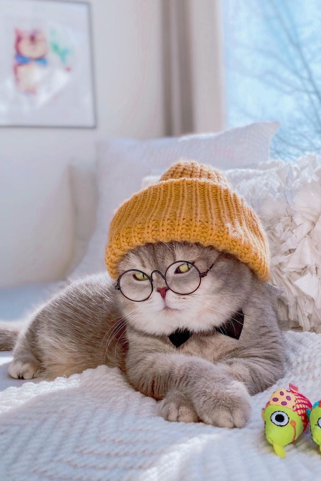 1080x1620  Pin on Обои на телефон/ Phone Wallpaper