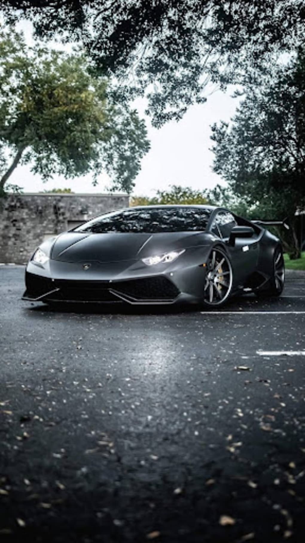 1020x1813  Обои для рабочего стола Ламборгини 2017-18 Aventador S 1080x1920