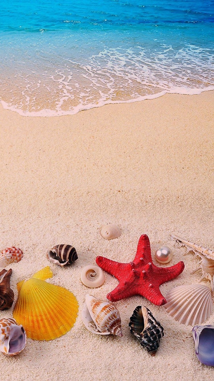 750x1333  Обои на телефон лето море - 62 фото