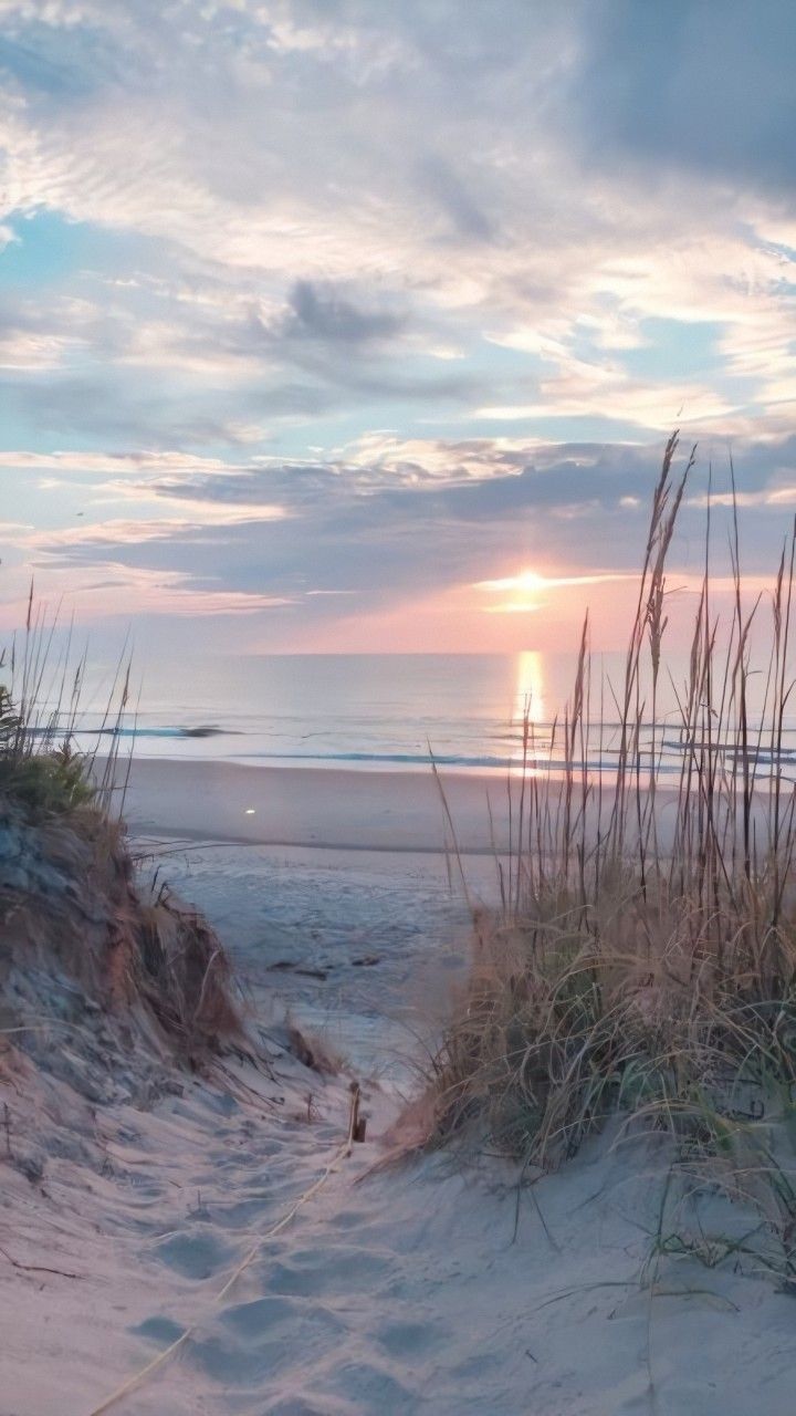 720x1280  🥥🤍wallpaper🤍🥥 обои море пляж закат | Summer wallpaper, Beach wallpaper,  Wallpaper iphone summer