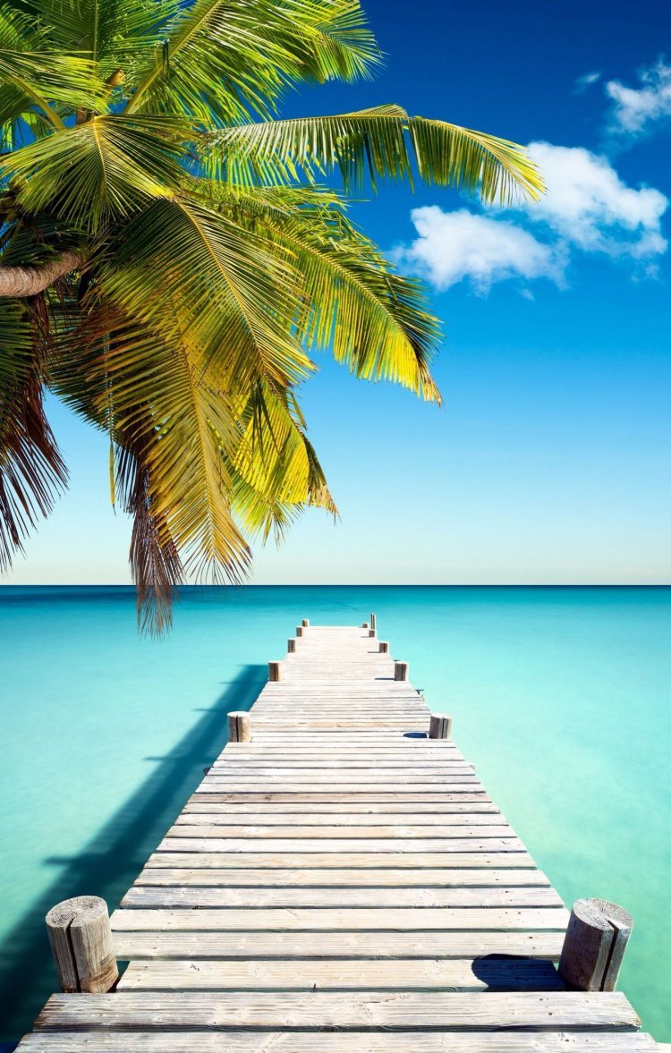750x1177  Обои на телефон пляж - 67 фото