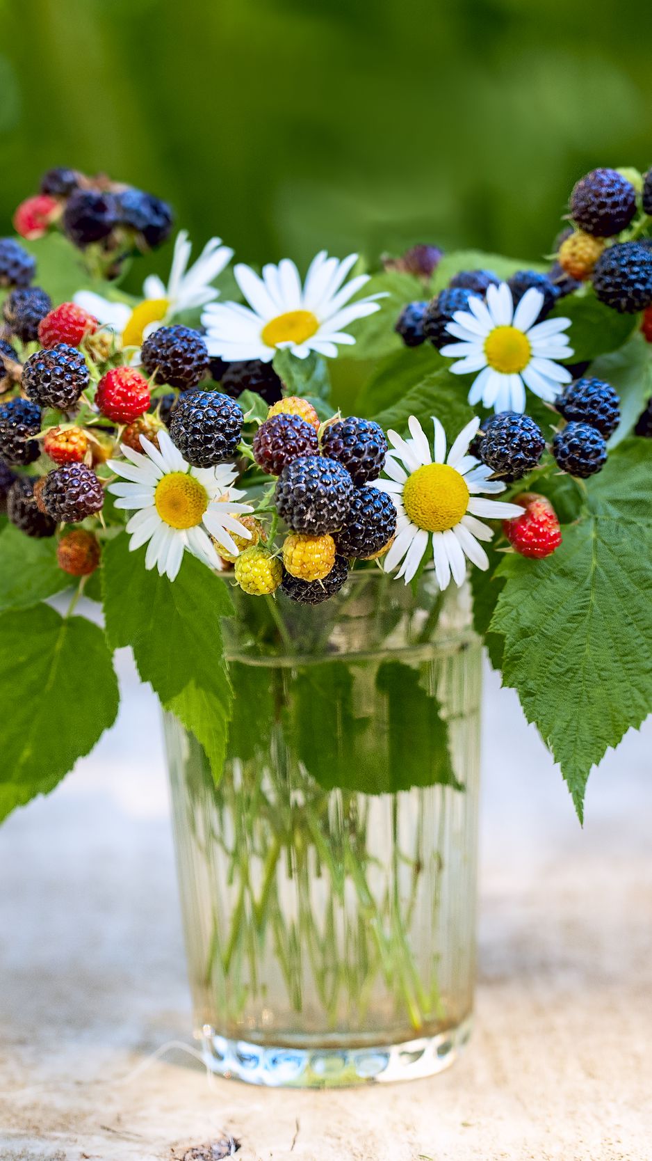 938x1668  Скачать 938x1668 букет, ромашки, цветы, ягоды, лето, эстетика обои,  картинки iphone 8/7/6s/6 for parallax