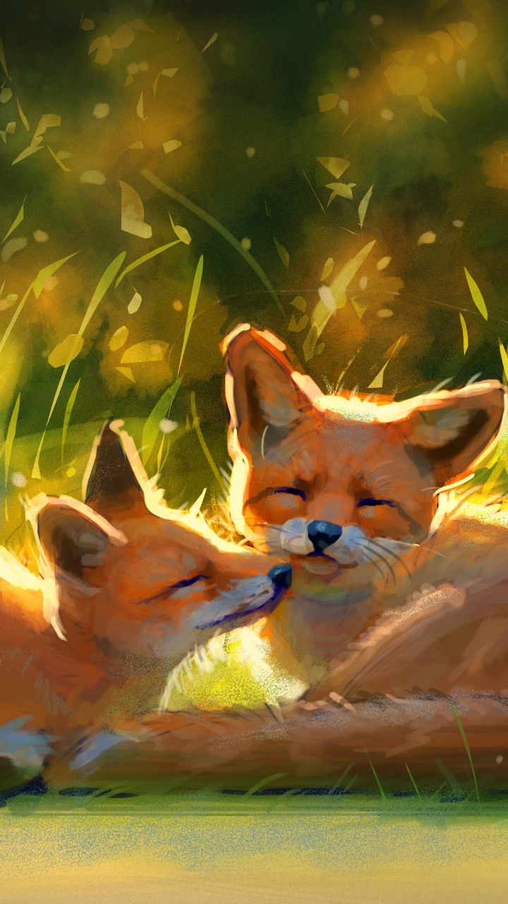 720x1280  Скачать Обои с лисой HD : заставка на экран APK для Android