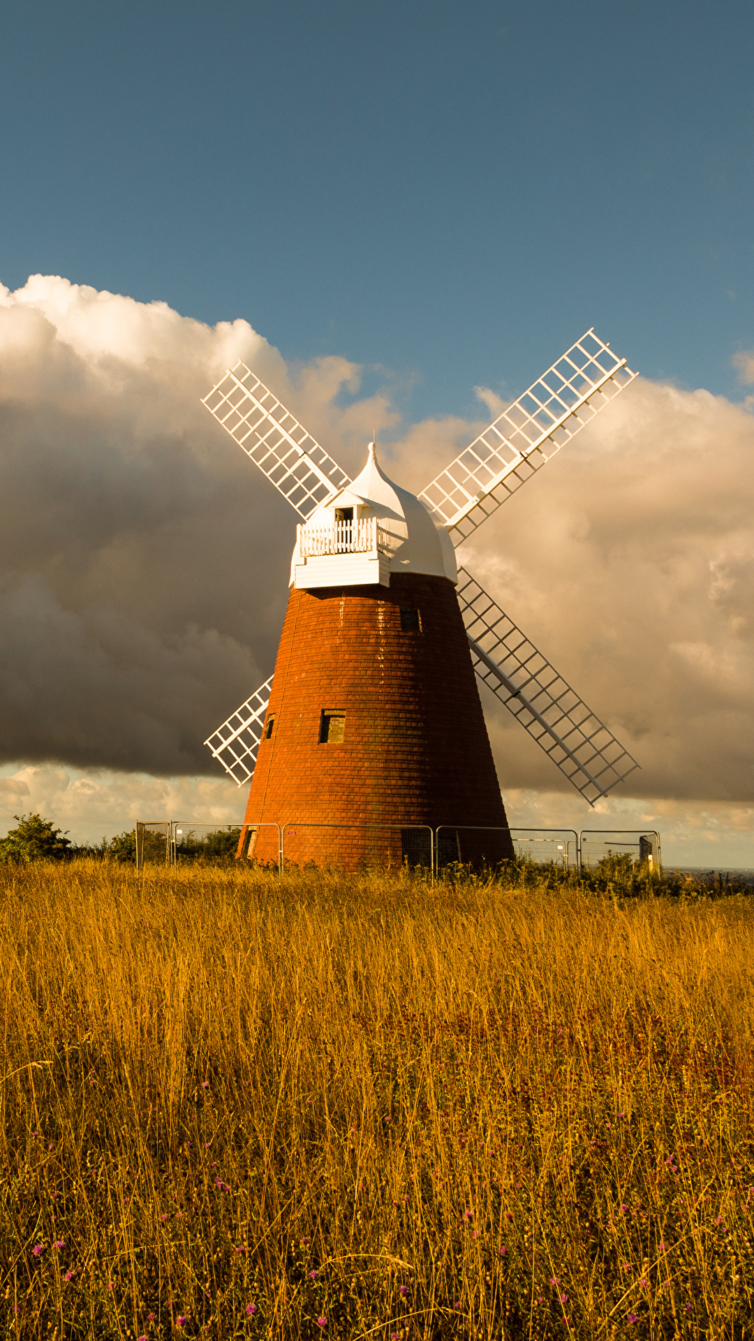 1080x1920  Image England Mill Halnaker Windmill Autumn Nature Fields 1080x1920