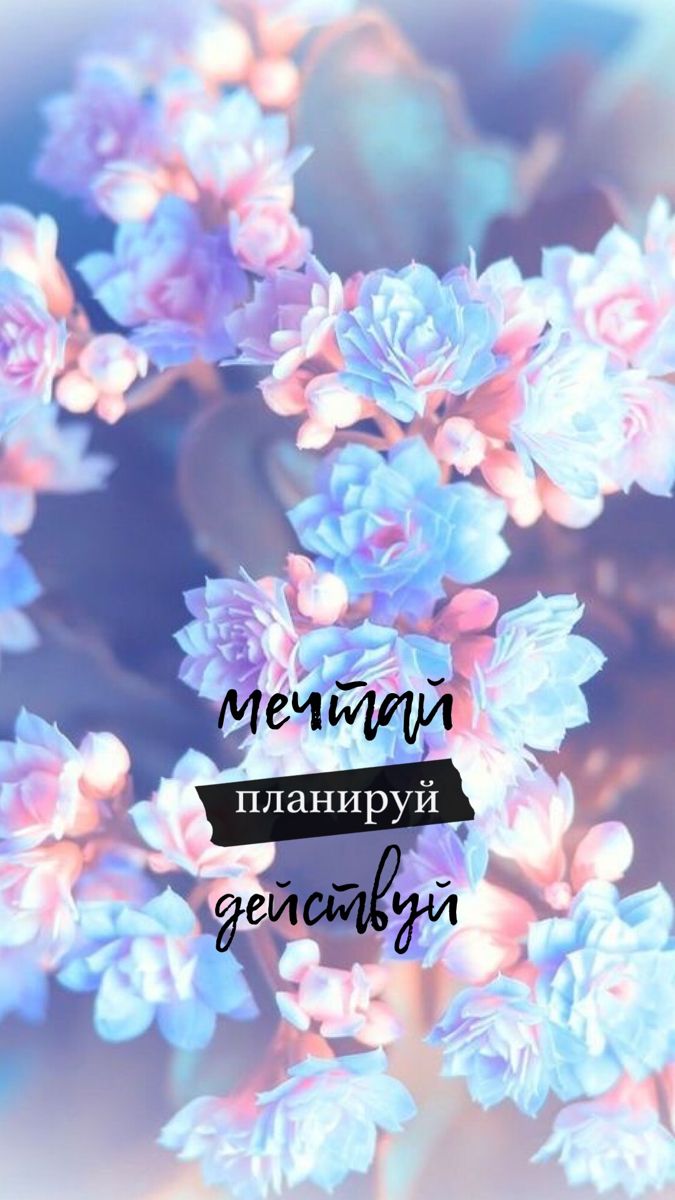 675x1200  Обои Мечтай Планируй Действуй | Фиолетовые цитаты, Фотография цитаты,  Дневные цитаты